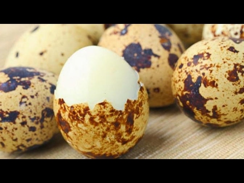 Video: Telur Puyuh Rebus - Kandungan Kalori, Khasiat Berguna, Nilai Pemakanan, Vitamin