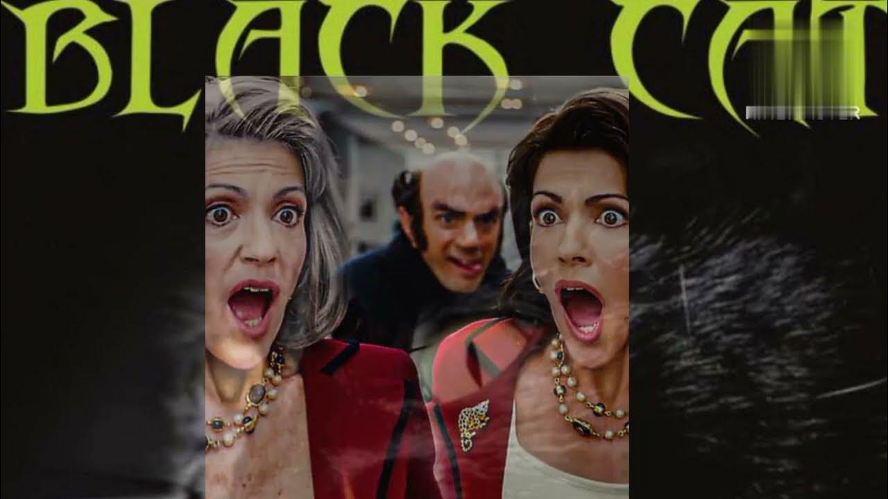 Short Story Black Cat Amazing Story With Situation Of A Personal short-story-black-cat-amazing-story-with-situation-of-a-personal
