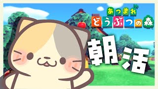 🐸ようこそ！アイーダさん&はろうぃん🎃🌴まぐろdeソルト島🌊【あつまれ！どうぶつの森/むぅたま VTuber】