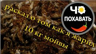 Вкуснейшая жареная мойва в казане. Чо ПОХАВАТЬ, #чопохавать Вкуснейшая жареная мойва в казане. Чо ПОХАВАТЬ, #чопохавать