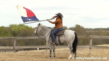 Aint Yo Average Boon - carrying the flag! - ValleyViewRanch.net