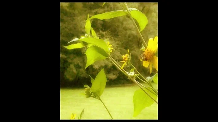 8mm test