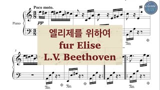 fur Elise - L.V. Beethoven