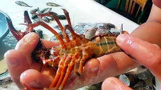 استاكوزا الغلابة 🦀 بارخص الاسعار 🔥 وطرق الطهي من حلقة سمك سوق الانصاري بالسويس