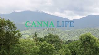 [N3952] Cannalife Maerim Chiangmai