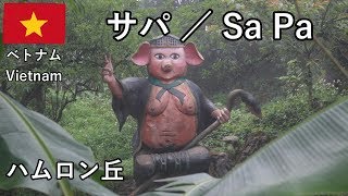 ベトナム旅2019その5　サパの商店街とかハムロン丘を散歩します（謎が多い）【無職旅／旅行記】