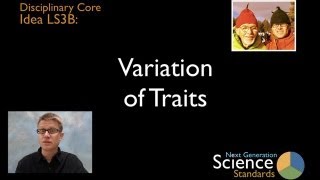 LS3B - Variation of Traits