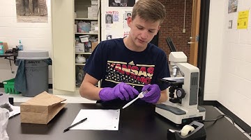 Trace Evidence Video