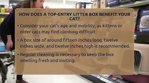 How Does A Top-entry Litter Box Benefit Your Cat? - Happy Cat Handbook