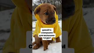 Давайте Совершим Для Малышки Чудо?