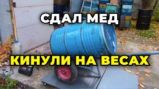 видео: Как дурят пчеловода при сдаче меда - правда о которой молчат! Обман на весах , бочках и прочее. картинка: Как дурят пчеловода при сдаче меда - правда о которой молчат! Обман на весах , бочках и прочее.