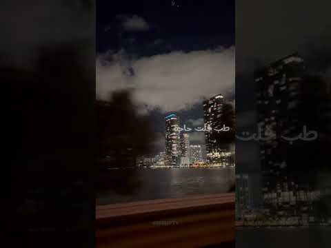 ساكت يا حبيبي ليه