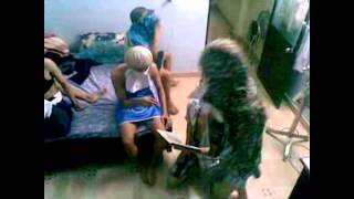 Harlem shake - 12c Lương Thế Vinh