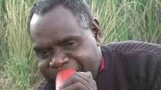 Didgeridoo music Gunwaral (shadow) | Darryl Dikarrnga Brown