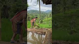 Nuju Nyapuken Hela Sisi Balong gadisdesa shorts rismanirmalasari