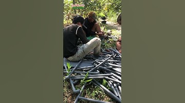 Hê thống tưới ống cứng 0971901679 #quyetbectuoi