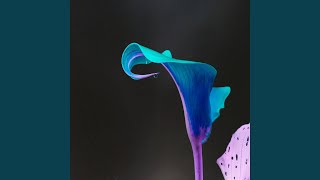 Magic Moments