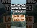 New Zealand: Where Going to Office Looks Like a Vacation