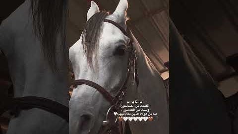 قران كريم - القارئ عبد الرحمن العوالقي ... #المصحف #قران #اكسبلور #لايك