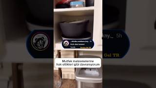 Mutfak Malzemelerine Hak Ettikleri Gibi Davranmak