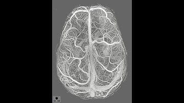 Beyond Reality: The Mind-Blowing Concept of a Conscious Universe