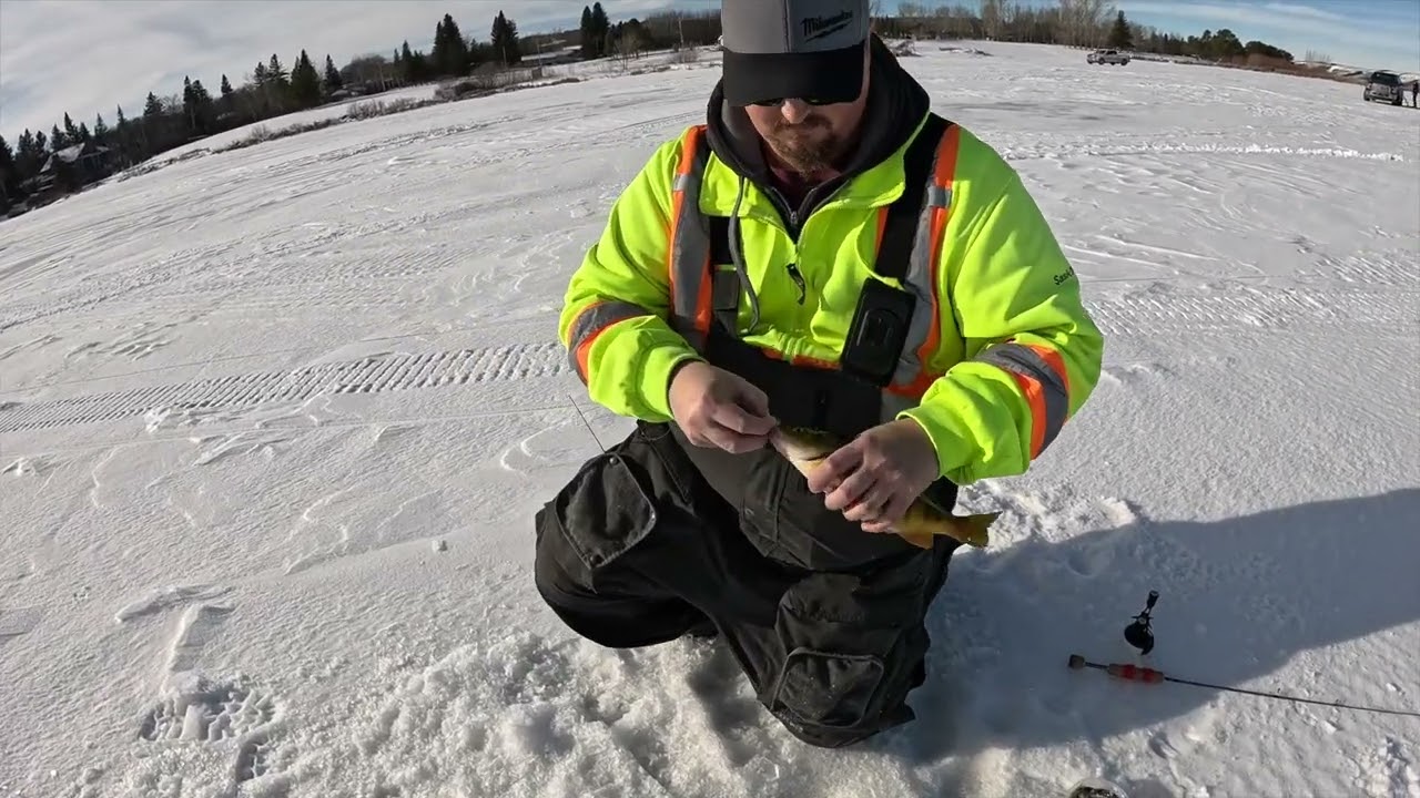 Ice Fishing Moosomin Lake January 2024