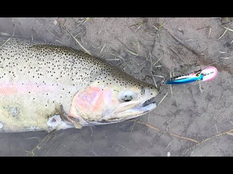 Steelhead Fishing with Lures & Dropping Floats 2019 