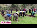 CONCURSO DE CHAQUITACLLA san miguel de cauri - lauricocha -huanuco parte 1