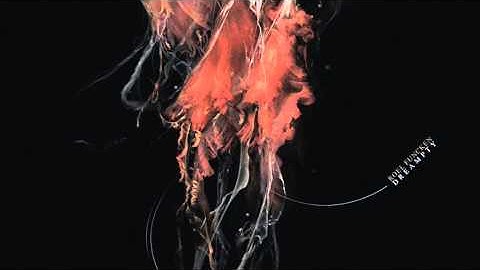 Roel Funcken _ Jeptic Une