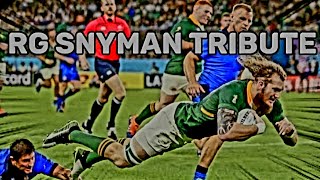 RG Snyman Tribute - The Aggressive,  Towering Springbok & Munster Lock Rugby Player #rugby