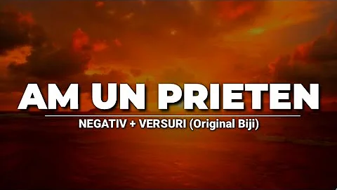 Negativ - AM UN PRIETEN (Original Biji)