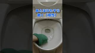 トイレの陶器の汚れ・尿石を簡単に落とす手順 #Shorts