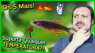 5 PEIXES Que Suportam Qualquer TEMPERATURA!