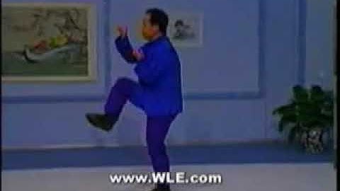 Xing Yi Chuan Twelve Animals #25 WLE.com