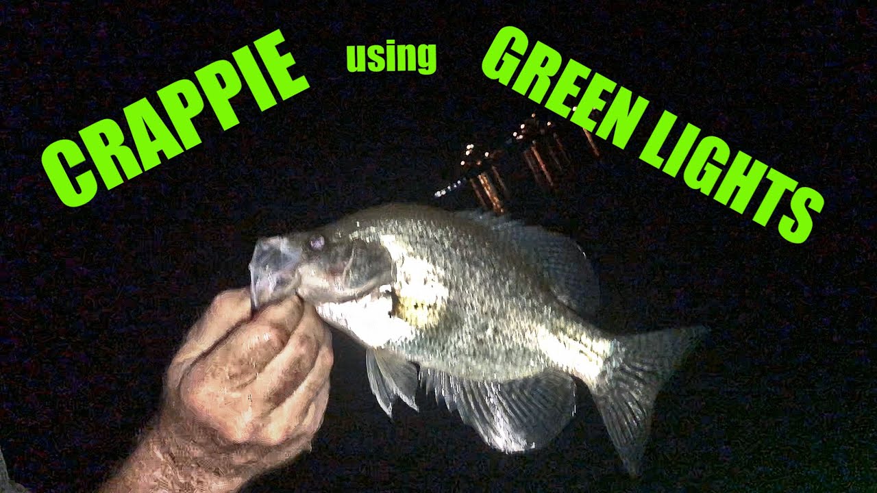 NIGHT time CRAPPIE fishing using GREEN lights!! (CHEAP LED lights from