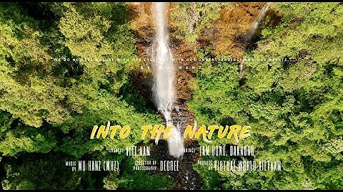 THIÊN NHIÊN VIỆT NAM - TOP NHỮNG THÁC NƯỚC ĐẸP NHẤT  | INTO THE NATURE 2024
