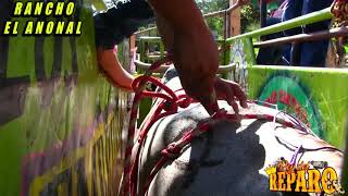 Y es de los Embrujados de Rancho el anonal de los hijos del güero calero 🤠 se llama matematico🐂🤠👹✖️