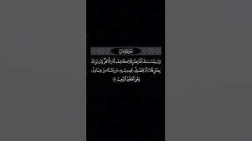 سورة يونس 🤍 أيات من الذكر الحكيم ❤️🤲🏽 ( القارئ عبد الرحمن مسعد )