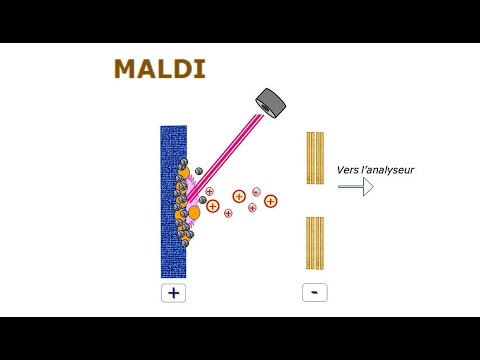 Spectromtrie de masse   05 Ionisation Laser Assiste par Matrice MALDI