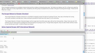 Using Web Developer Toolbar: CSS Validator