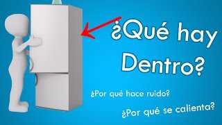 ¿Cómo Funciona un Refrigerador?