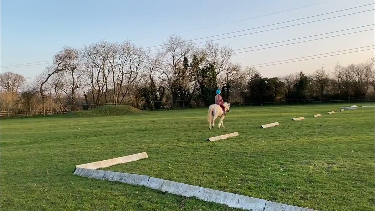 CANTERING ON ROSIE FOR THE FIRST TIME IN 3 MONTHS!!! (Read desc) YouTube