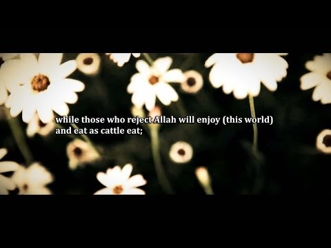 ► QURAN - Surah (Muhammad) Verses 1-16 ᴴᴰ | by Sheikh Ahmad Bin Ali Al-Ajmi