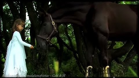 Enigma ~ Return to Innocence ~ Dream for Horses