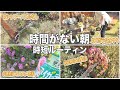 【ガーデニングルーティン】外出前リアルの10分ルーティン🪴 | 寄せ植えお手入れ | ライフスタイル | Planting flower Routine