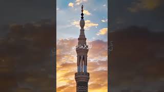 Subhanallah Allah Hu Anek Mohan #shortvideos #foryou