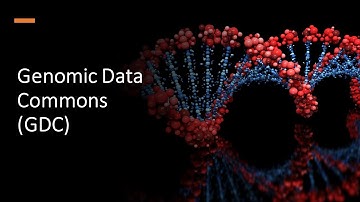 Genomic Data Commons GDC Data Portal