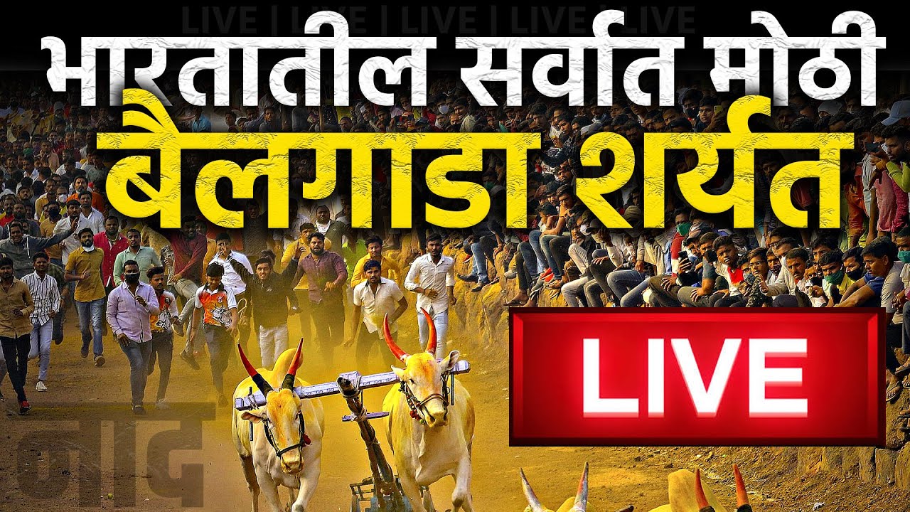 🔴 LIVE : भारतातील सर्वात मोठी भव्य बैलगाडा शर्यत लाईव्ह | Bailgada Sharyat Jadhavwadi पिंपरी चिंचवड