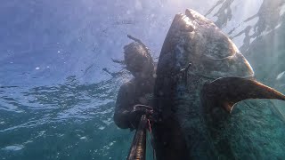 Στα Όρια του Ψαροντούφεκου _ Τόνος 68.4kg _ Spearfishing TUNA 68.4kg