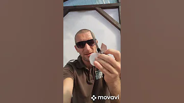 Как прорастить семена в проращиватель  SEEDBAGE